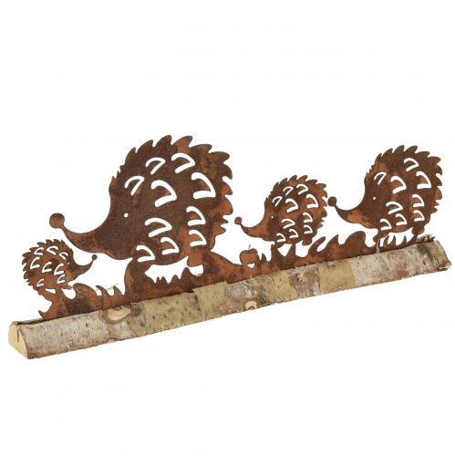 Floristik24 Famiglia riccio decoro ruggine patina autunnale 38x4,5x13,5 cm