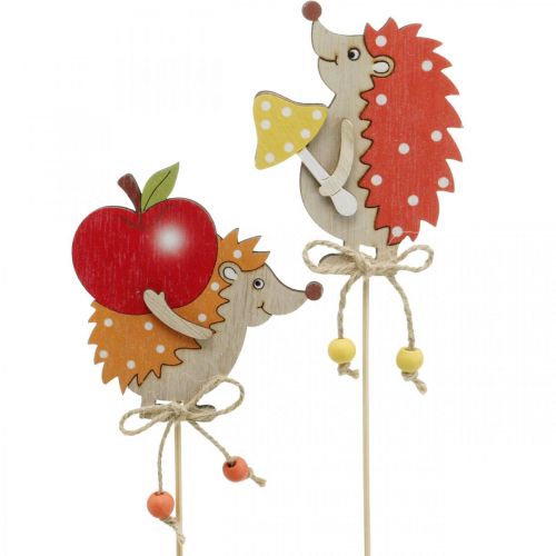 Floristik24 Riccio con bastoncini di fiori, decorazione in legno, figura autunnale H9,5 cm L32 cm 12 pezzi