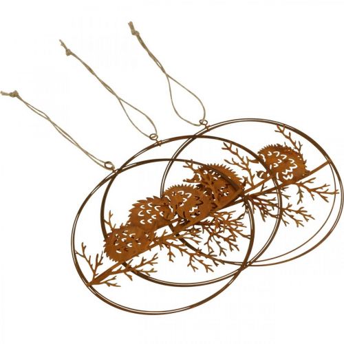 Prodotto Ciondolo in metallo, riccio su ramo, decorazione autunnale, anello decorativo patina Ø15,5 cm 3 pezzi