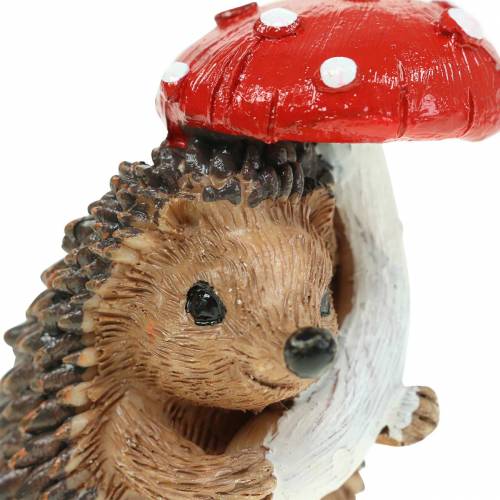 Floristik24 Statuina autunnale riccio con fungo H7cm 6pz