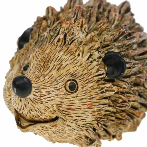 Floristik24 Figura decorativa riccio natura 6,5cm