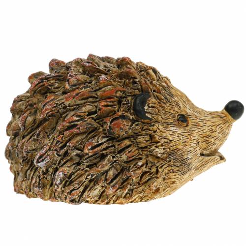 Floristik24 Figura decorativa riccio natura 6,5cm