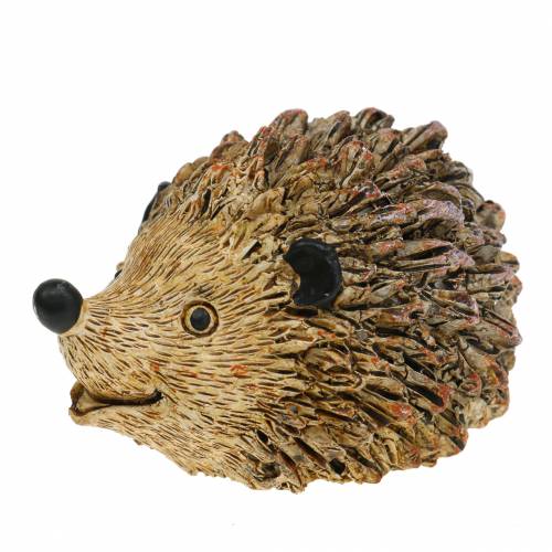Floristik24 Figura decorativa riccio natura 6,5cm