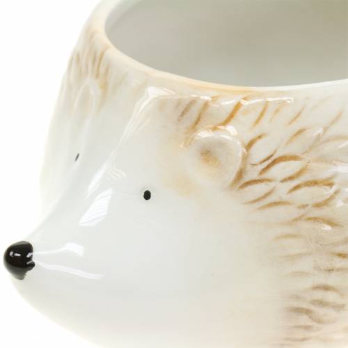 Prodotto Vaso per piante riccio in ceramica crema 14 cm x 11 cm H9 cm 4 pezzi