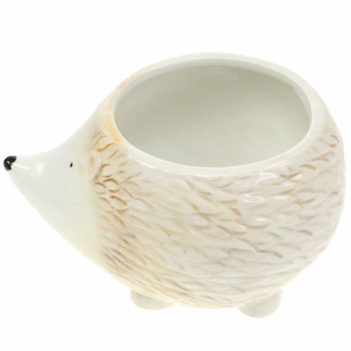 Floristik24 Vaso per piante riccio in ceramica crema 14 cm x 11 cm H9 cm 4 pezzi