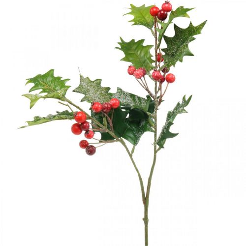 Floristik24 Ramo di agrifoglio artificiale, bacche invernali, decorazioni natalizie, agrifoglio innevato verde, rosso L63cm