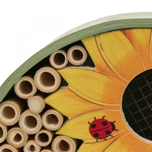 Casetta per insetti Casetta per insetti rotonda in legno Girasole verde Ø25cm