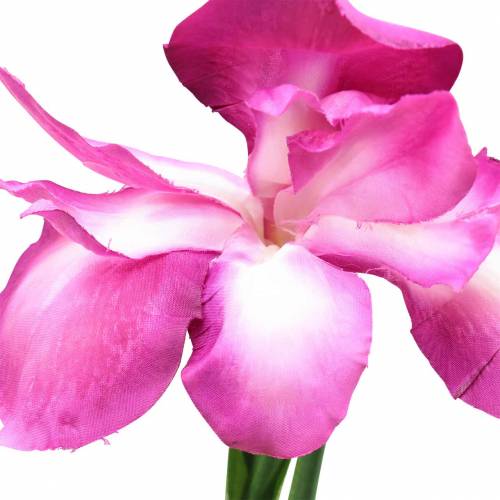 Prodotto Iris artificiale Rosa 78 cm