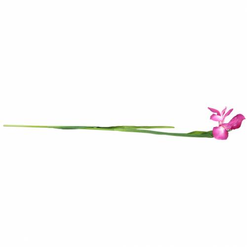 Prodotto Iris artificiale Rosa 78 cm