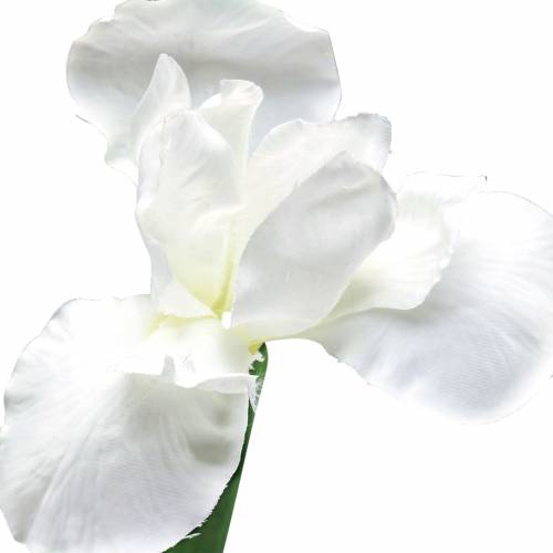 Prodotto Iris bianco artificialmente 78 cm