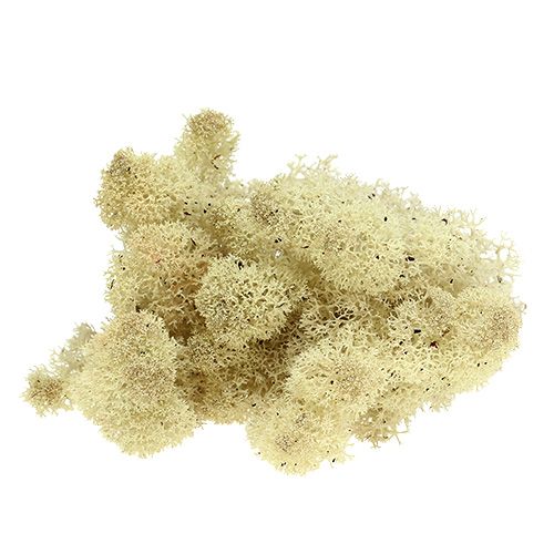 Muschio di renna natura 400g