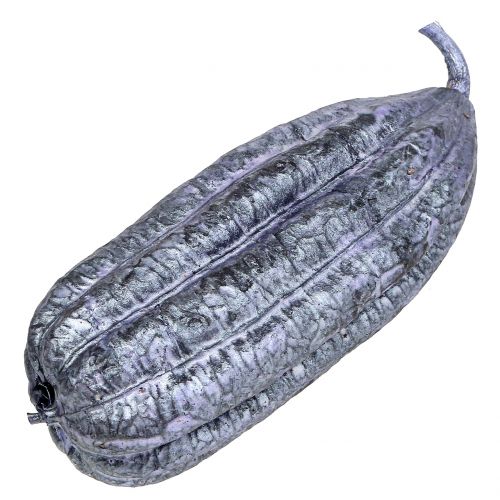 Floristik24 Luffa Frutta Viola 14cm – 20cm 10 pz