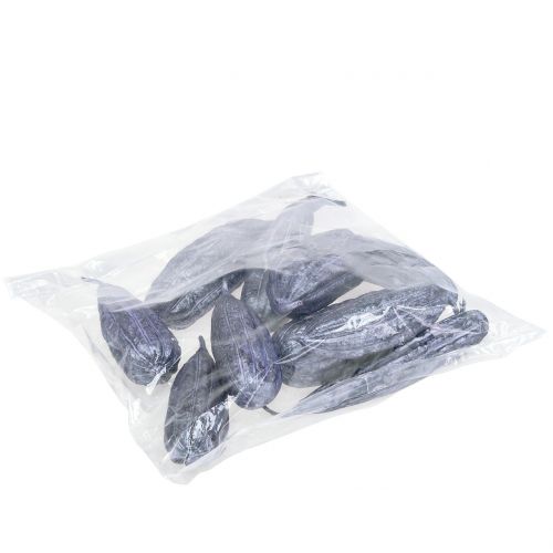 Floristik24 Luffa Frutta Viola 14cm – 20cm 10 pz