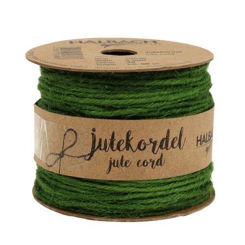 Floristik24 Cordone di Juta Verde Ø2mm 100g