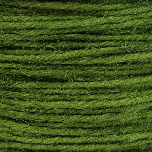 Prodotto Cordone di iuta verde Ø2mm 100g