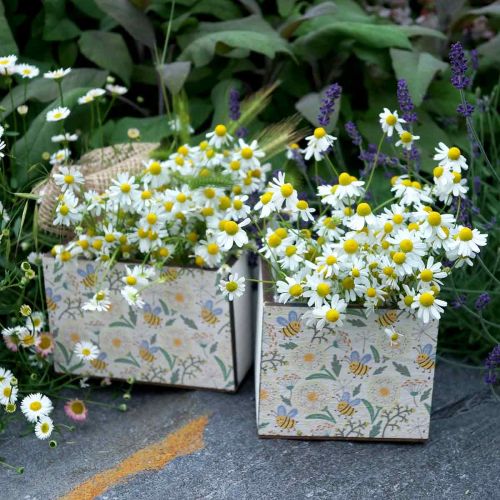 Prodotto Scatole per piantare, decorazione in legno, scatola decorativa con api, decorazione primaverile, shabby chic L15/12cm H10cm set di 2