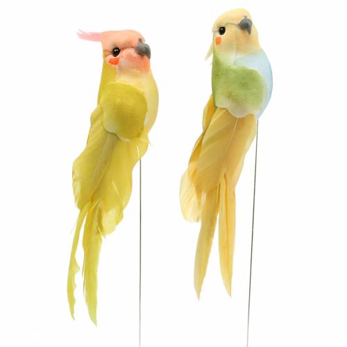 Floristik24 Cacatua decorativo con filo metallico verde giallo H13cm 4 pezzi