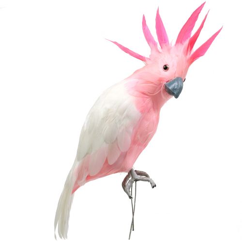 Floristik24 Cacatua decorativo rosa 32 cm
