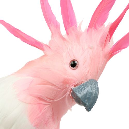 Floristik24 Cacatua decorativo rosa 32 cm