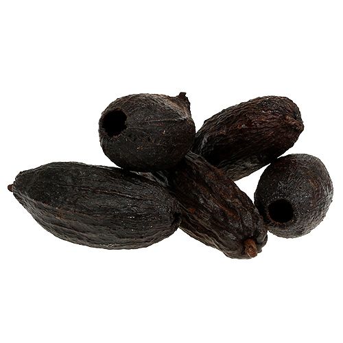 Frutto di cacao naturale 10-18 cm 15 pz