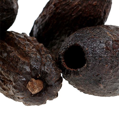 Floristik24 Frutto di cacao naturale 10-18 cm 15 pz