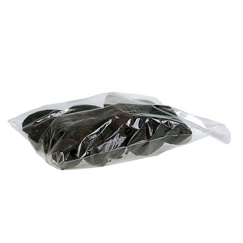 Floristik24 Frutto di cacao naturale 10-18 cm 15 pz