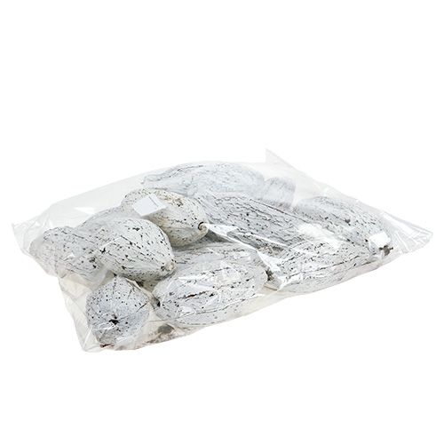 Prodotto Baccelli di cacao imbiancati 15 pz