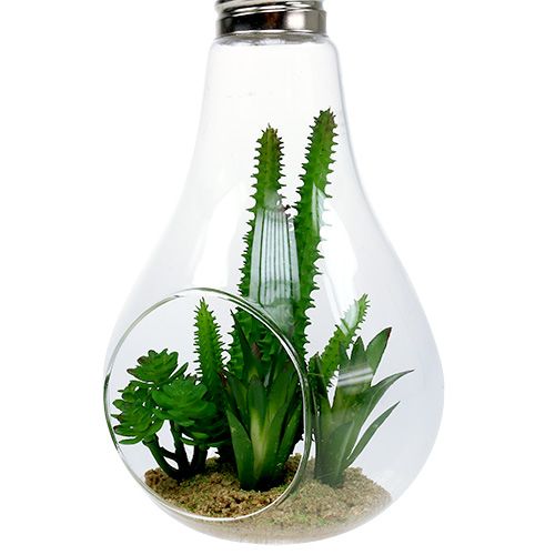 Prodotto Cactus nel bicchiere per appendere 21 cm