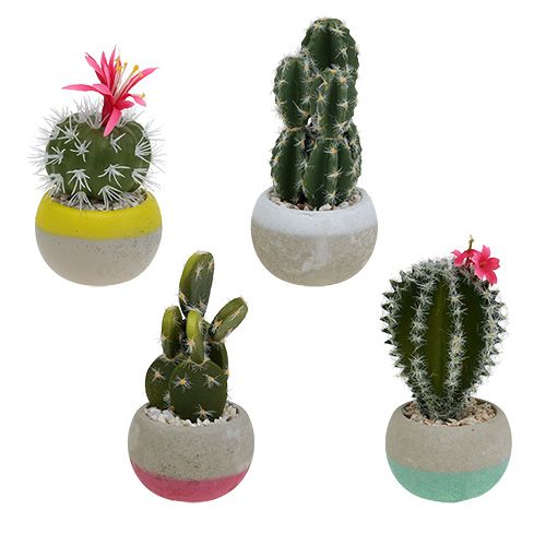 Floristik24 Cactus in vaso mix H13cm 4pz