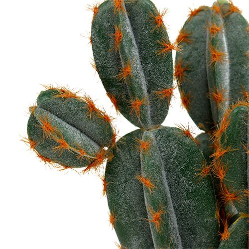 Cactus in vaso artificialmente 20 cm