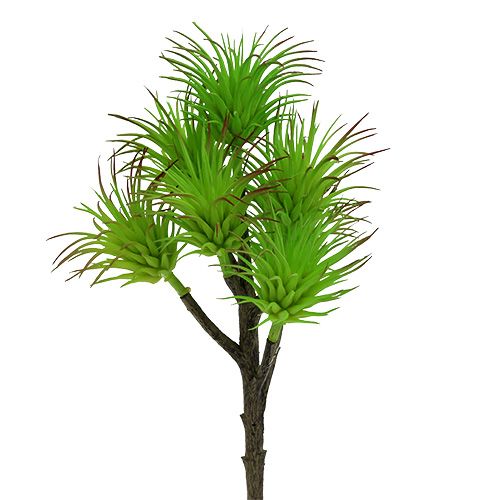 Floristik24 Rami di cactus 20 cm verde chiaro 3 pezzi