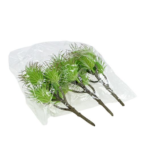 Floristik24 Rami di cactus 20 cm verde chiaro 3 pezzi