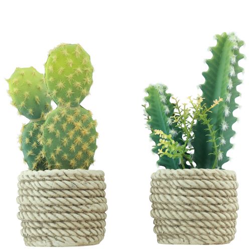 Floristik24 Cactus in vaso cactus artificiali assortiti 28cm 2pz