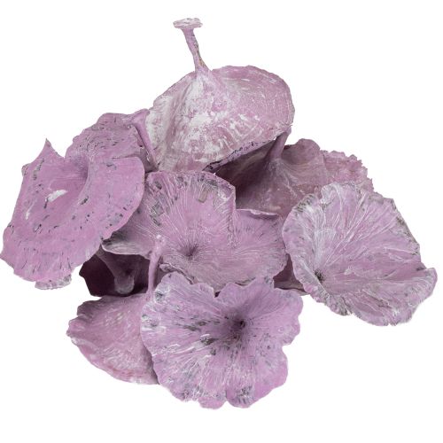 Prodotto Kalix Mushroom Viola, Bianco Lavato 100 pezzi