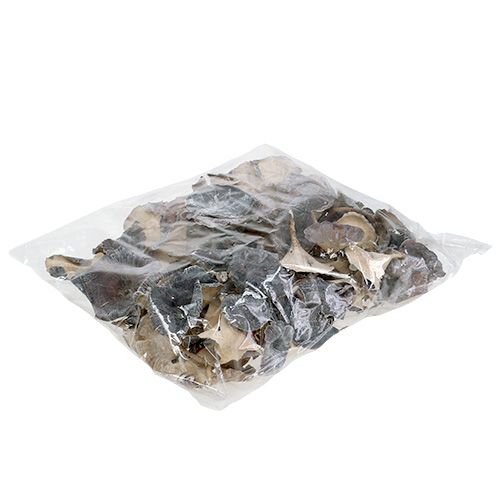 Floristik24 Fungo Kalix bianco lavato 100 pz