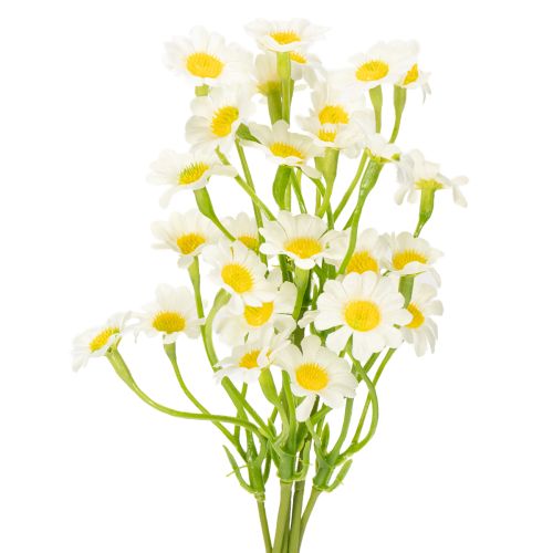Prodotto Camomilla artificiale come bouquet di fiori per una decorazione naturale e facile da curare, 28 cm, 3 pezzi
