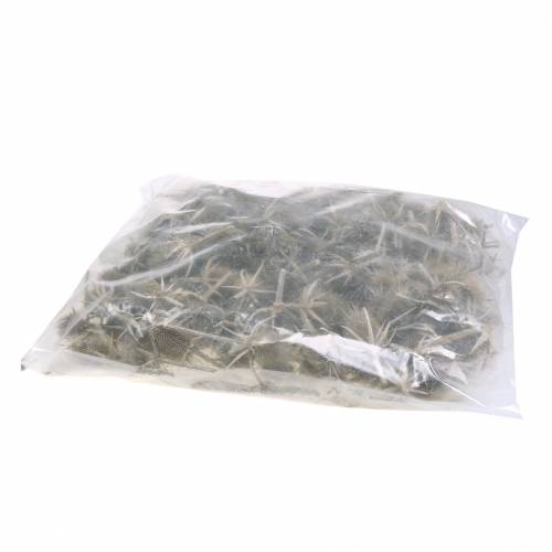 Prodotto Cardi selvatici lavati bianchi decoro naturale 1kg
