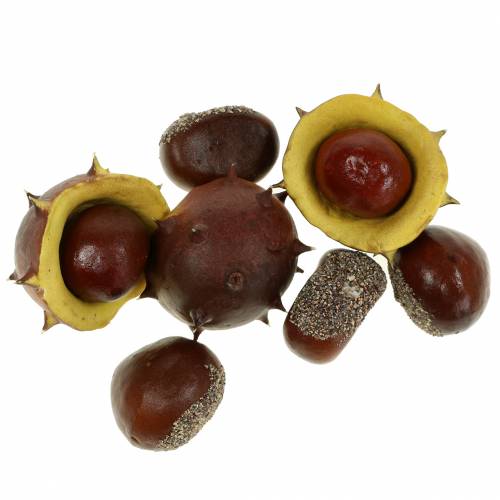 Floristik24 Assortimento di castagne decorative in castagna 5,5 cm 24 pezzi