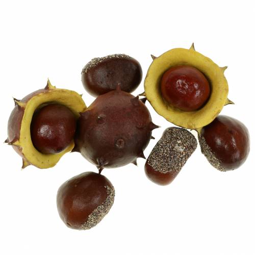 Floristik24 Assortimento decorativo di castagne 5,5 cm 24 pezzi