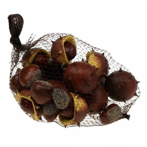 Floristik24 Assortimento di castagne decorative in castagna 5,5 cm 24 pezzi