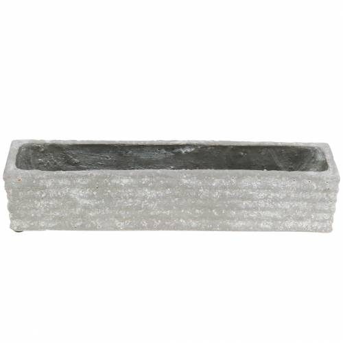 Floristik24 Scatola per piante in cemento grigio chiaro 30x7cm H6,5cm 2 pezzi