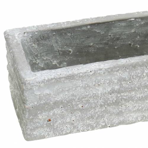 Floristik24 Scatola per piante in cemento grigio chiaro 40x8cm H6,7cm