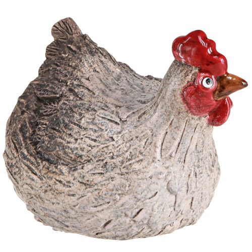 Floristik24 Pollo decorativo in ceramica divertente figura decorativa pasquale 16×12×12 cm