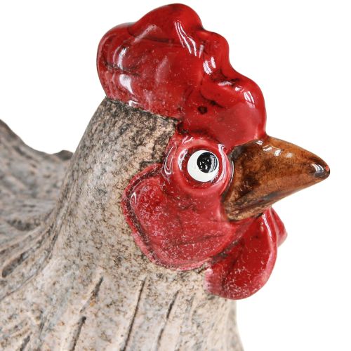 Floristik24 Pollo decorativo in ceramica divertente figura decorativa pasquale 16×12×12 cm