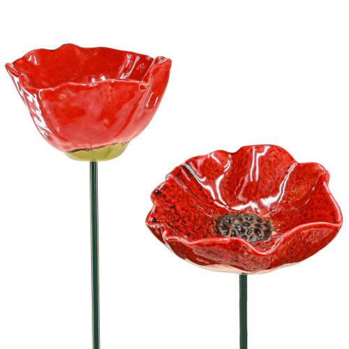 Floristik24 Paletto decorativo in ceramica per fiori di papavero rosso papavero Ø8cm 4 pz