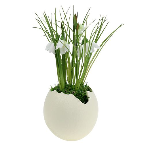 Floristik24 Uovo aperto in ceramica crema H12cm 2pz