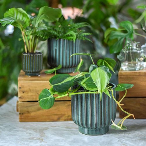 Floristik24 Vaso per piante in ceramica, decorazione floreale, fioriera ondulata verde, marrone Ø15.5cm H16.5cm