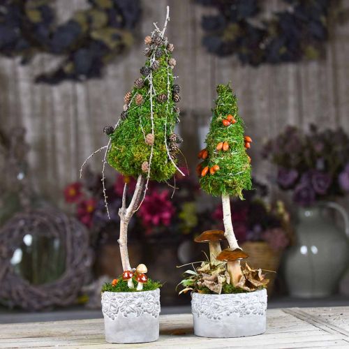 Floristik24 Vaso in ceramica, vaso di fiori con decoro in quercia, vaso per piante verde / bianco / grigio Ø13cm H11.5cm set di 3