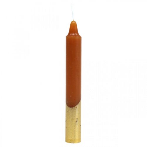 Floristik24 Candele albero candele piramidali Ø13×H105mm marroni, dorate 10pz