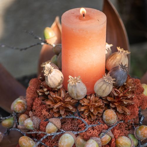 Candele in tinta unita Candele a colonna arancione pesca 85×120mm 2pz | Floristik24.it
